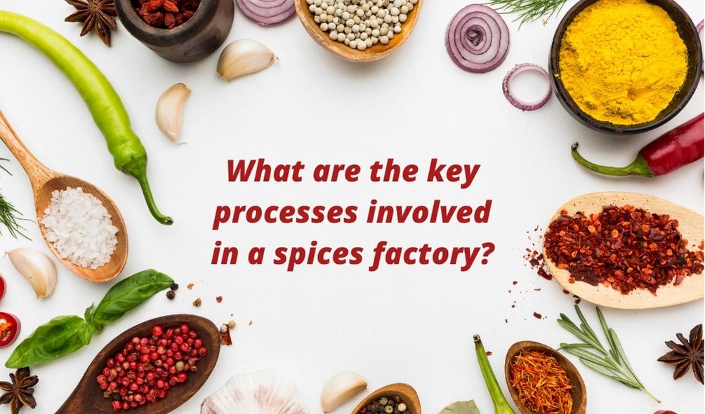 what-are-the-key-processes-involved-in-a-spices-factory