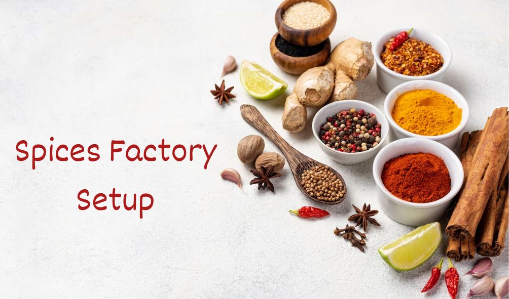 spices-factory-setup